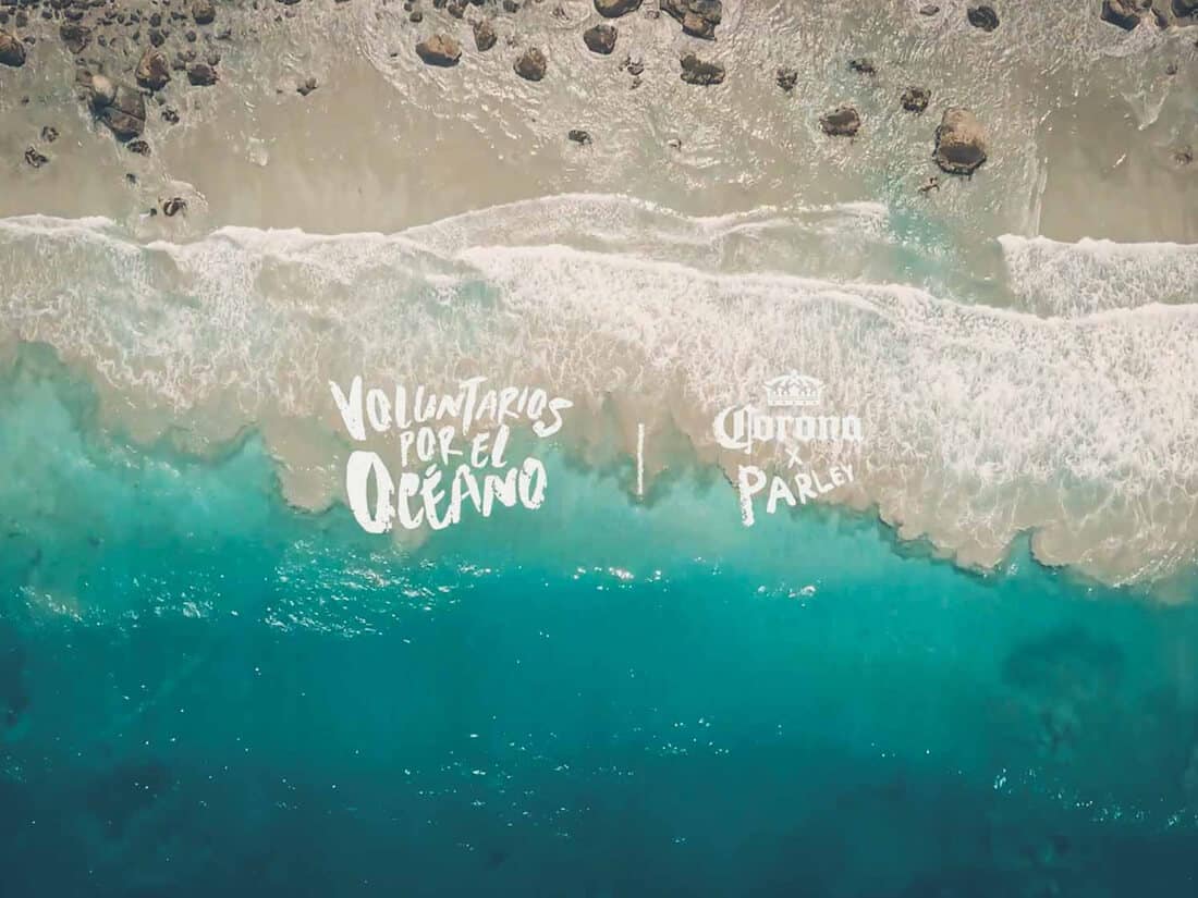 Voluntarios por el Océano 2018